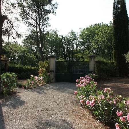 Villa Il Sole Le Puy-Sainte-Réparade Esterno foto