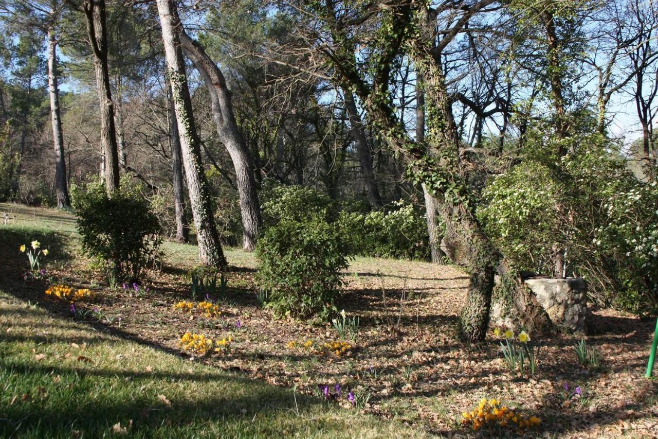 Villa Il Sole Le Puy-Sainte-Réparade Esterno foto